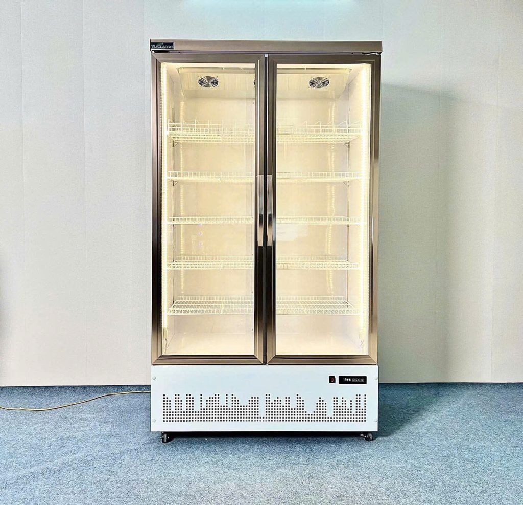 tủ mát 2 cánh kính block dưới